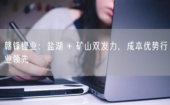 赣锋锂业：盐湖 + 矿山双发力，成本优势行业领先