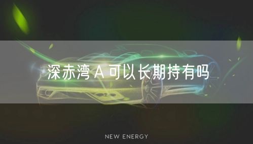 深赤湾Ａ可以长期持有吗