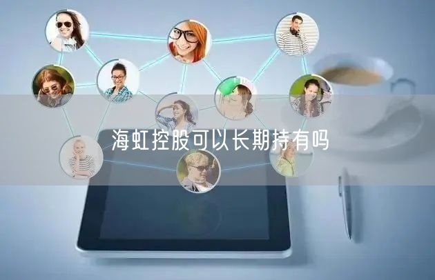 海虹控股可以长期持有吗