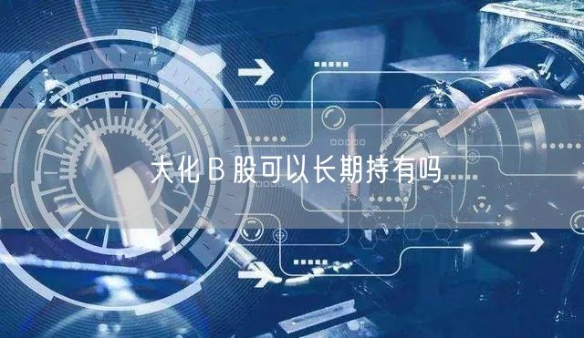 大化Ｂ股可以长期持有吗